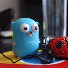golang golang